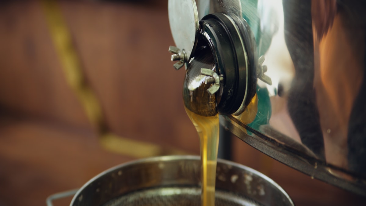 Variedad de alimentos saludables incluyendo aceitunas, salmón, semillas y frutos secos